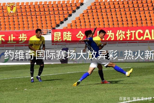 约维奇国际赛场大放异彩 热火新星值得更多出场时间